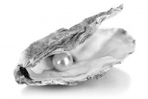 Oyster - High Resolution